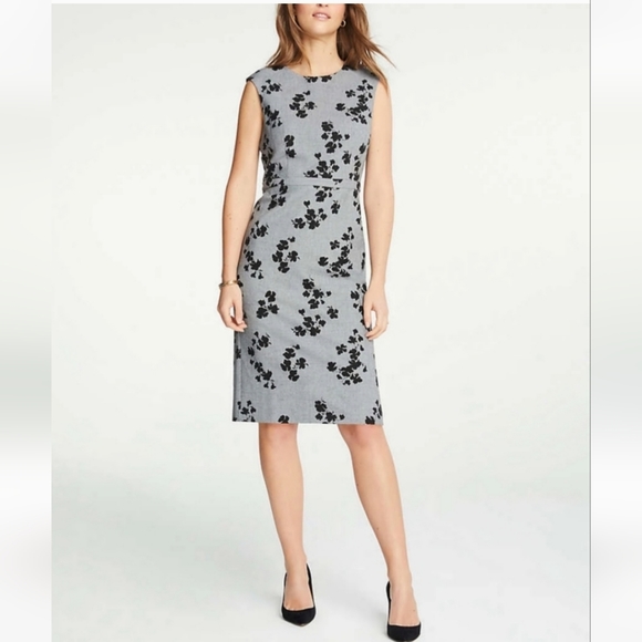 NWT Ann Taylor Floral Gray Dress - Picture 1 of 8